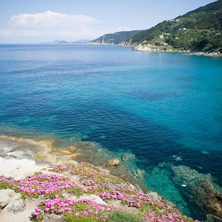 Hotel Gallo Nero SantʼAndrea Εξωτερικό φωτογραφία