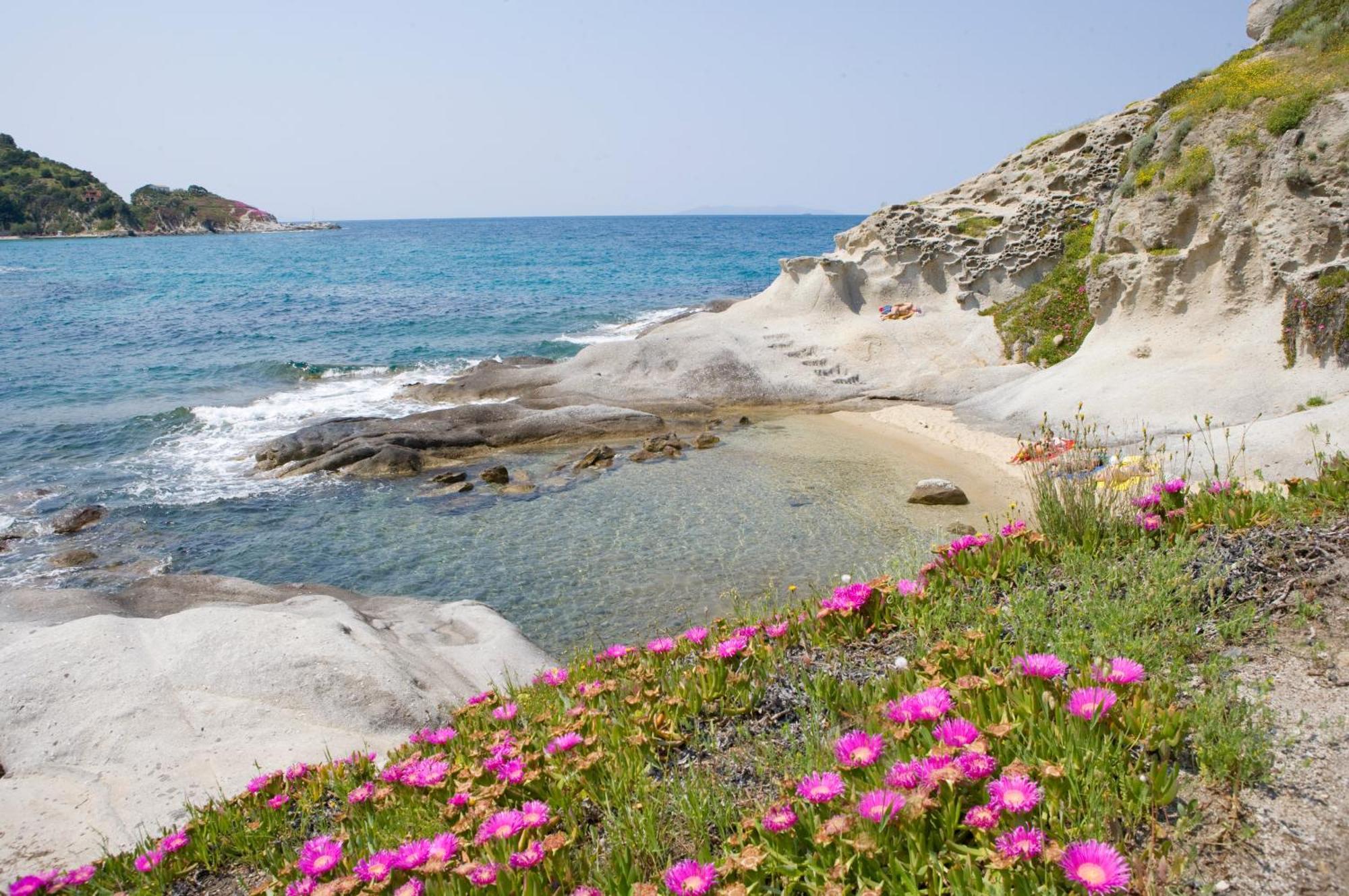 Hotel Gallo Nero SantʼAndrea Εξωτερικό φωτογραφία