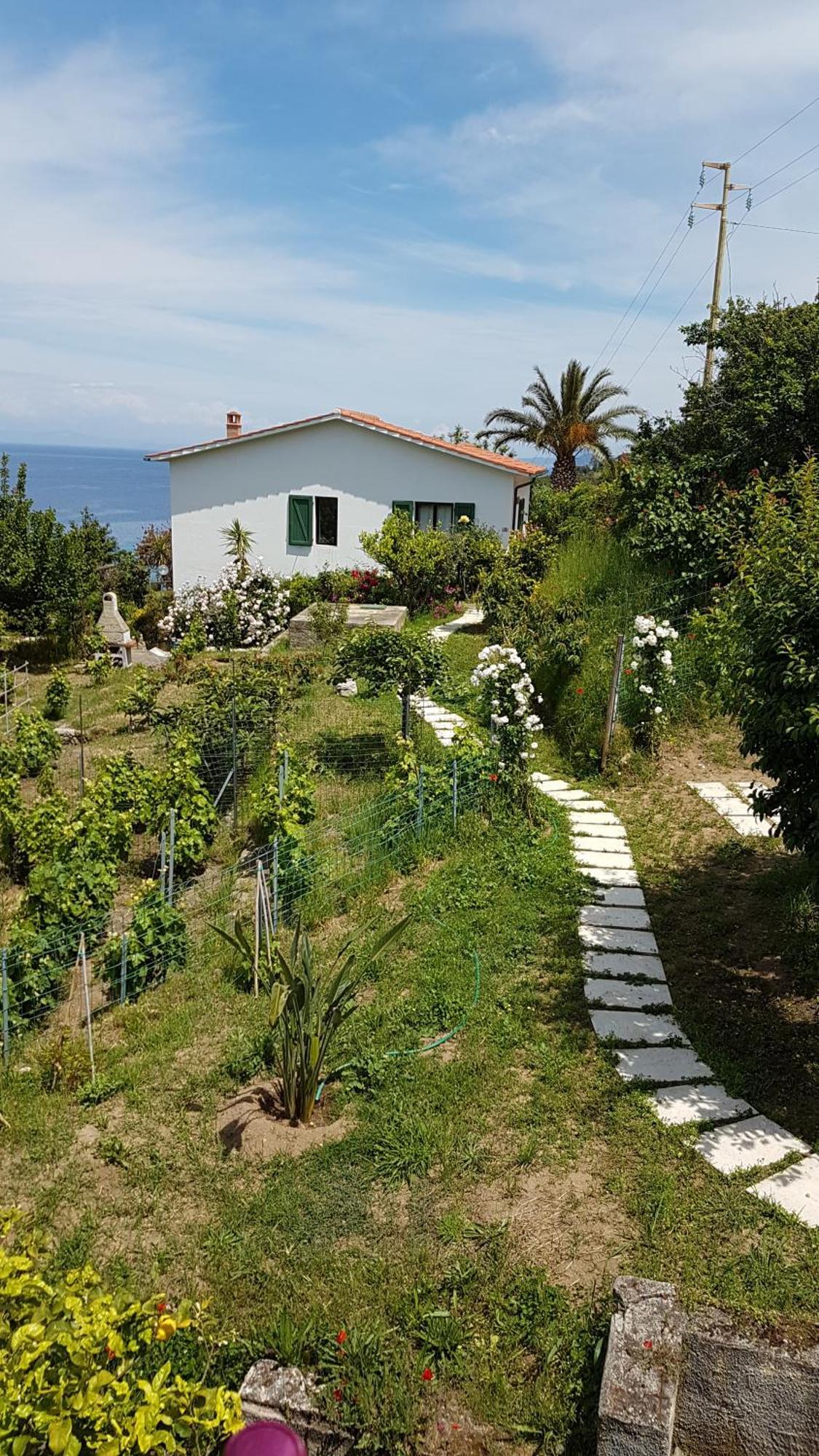 Hotel Gallo Nero SantʼAndrea Εξωτερικό φωτογραφία