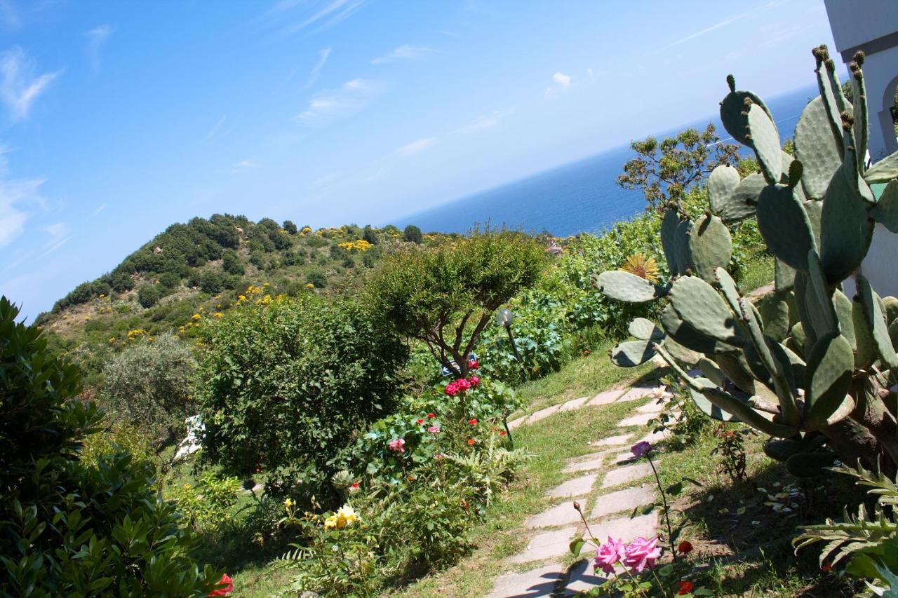 Hotel Gallo Nero SantʼAndrea Εξωτερικό φωτογραφία